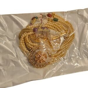 Indian pakistani traditional jewelry choker set with ear rings NWT